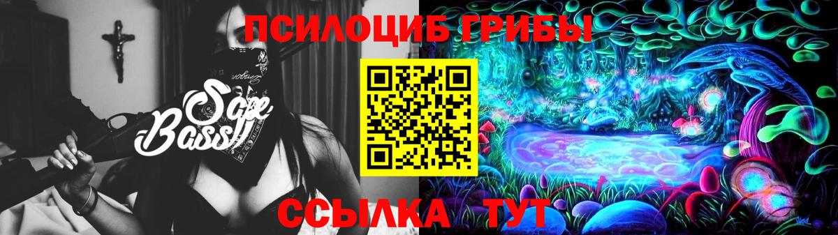 Псилоцибиновые грибы прущие грибы Междуреченск